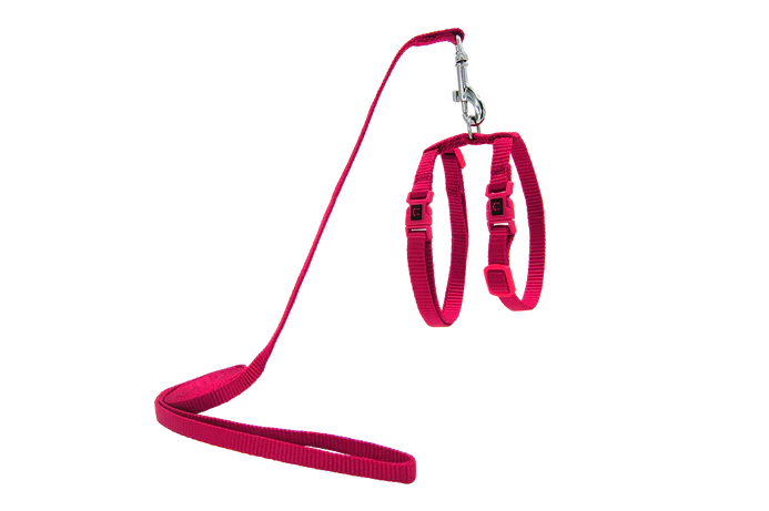 Doco Cat Harness & Leash - Pink