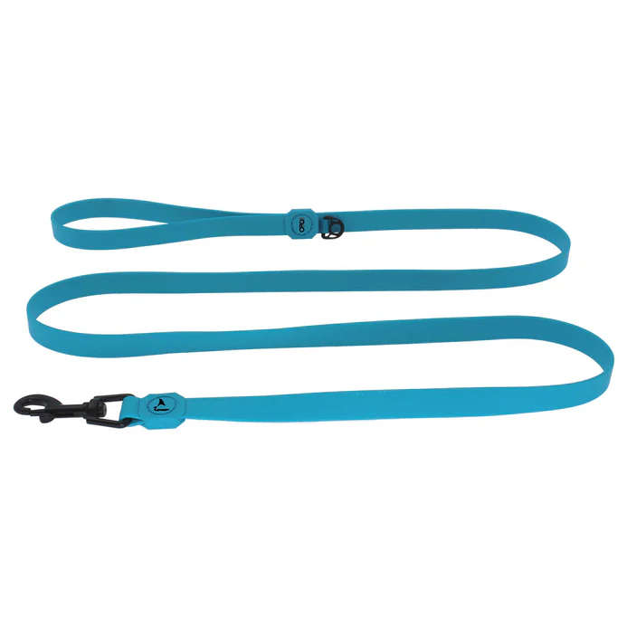 Doco Jelly Bean Dog Leash - L - Turquoise