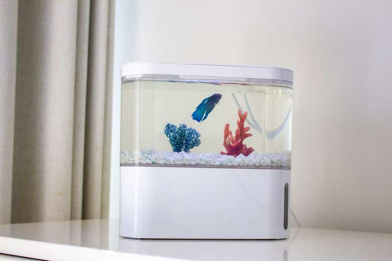 Pico EcoFlaura Fish Tank  Snow White | Modern Compact Aquarium with LED & Filtration
