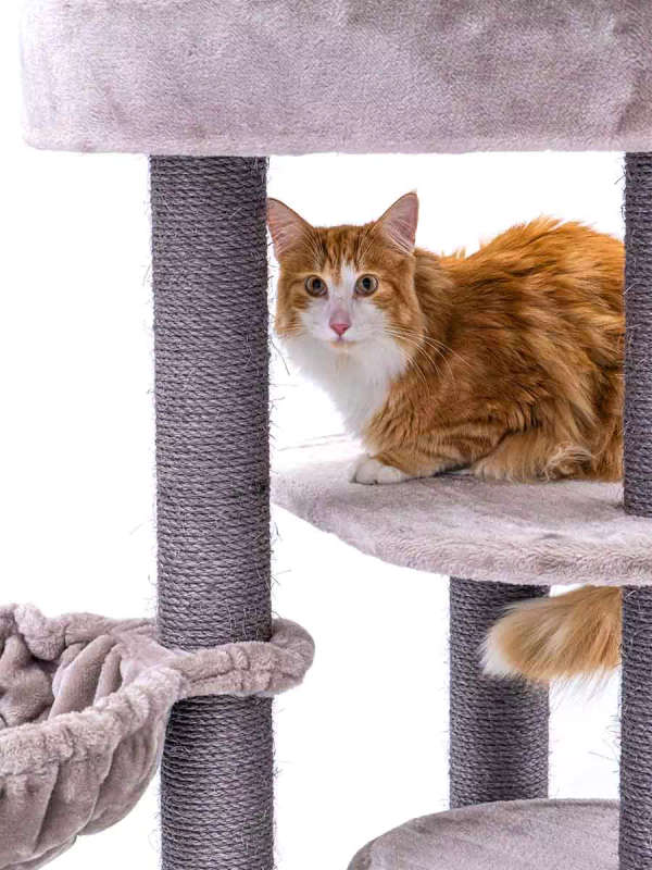 PETREBELS Charlotte 134 Multi-Level Cat Tree with Soft Plush Covering  59 x 56 x 134 cm