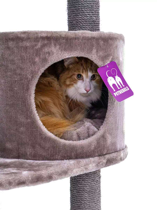 PETREBELS Charlotte 134 Multi-Level Cat Tree with Soft Plush Covering  59 x 56 x 134 cm