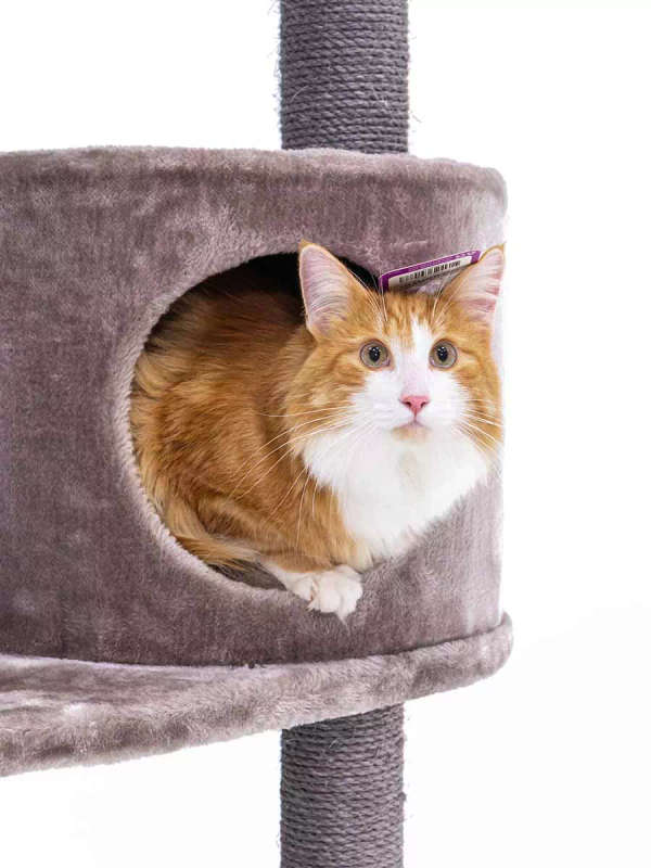PETREBELS Charlotte 134 Multi-Level Cat Tree with Soft Plush Covering  59 x 56 x 134 cm