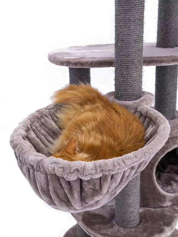 PETREBELS Charlotte 134 Multi-Level Cat Tree with Soft Plush Covering  59 x 56 x 134 cm