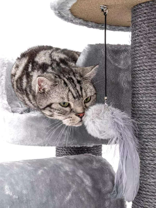 PETREBELS Victoria 125 Multi-Level Cat Tree with Velvety Soft Plush Covering  48.5 x 48.5 x 12...