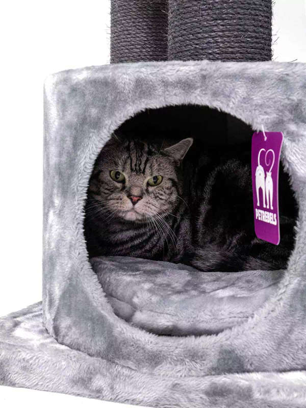 PETREBELS Victoria 125 Multi-Level Cat Tree with Velvety Soft Plush Covering  48.5 x 48.5 x 12...