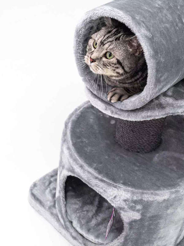 PETREBELS Victoria 125 Multi-Level Cat Tree with Velvety Soft Plush Covering  48.5 x 48.5 x 12...
