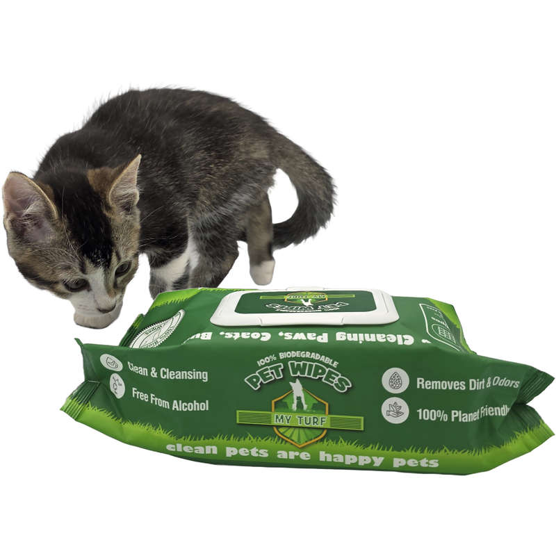 Unscented Pet Wipes  100 Pet Wipes for Paws, Face, Ears, Coats & Bums  Alcohol-Free Groomin...