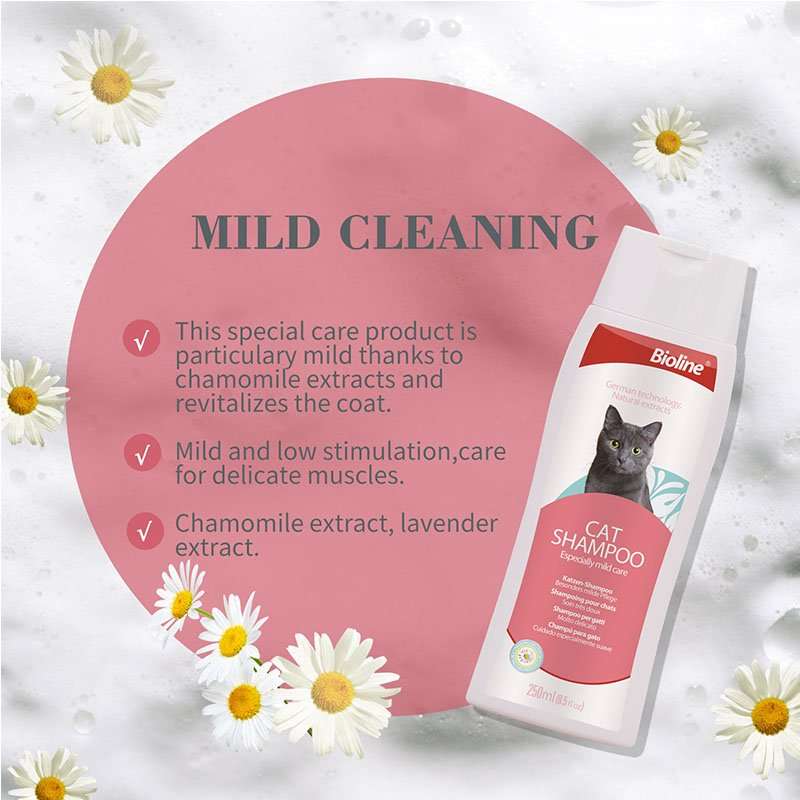 Bioline Gentle Cat Shampoo  250ML | Bioline | pH-Balanced, Mild Cleanser for Cats | Maintains ...