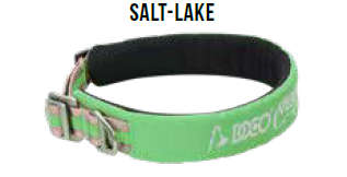 Doco Vertex Reflective Mesh Dog Collar  Small  Salt-Lake | Doco | Lightweight, Durable Coll...