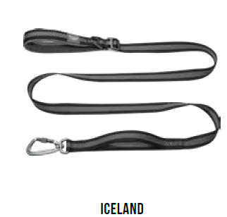 Doco Vertex Double Handle Dog Leash  Medium  Iceland | Doco | Adjustable Walking & Traffic ...