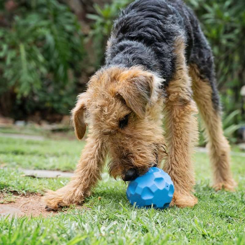 Treat Tumbler Rubber Dog Toy | Zugo | Mental Stimulation & Treat Dispenser