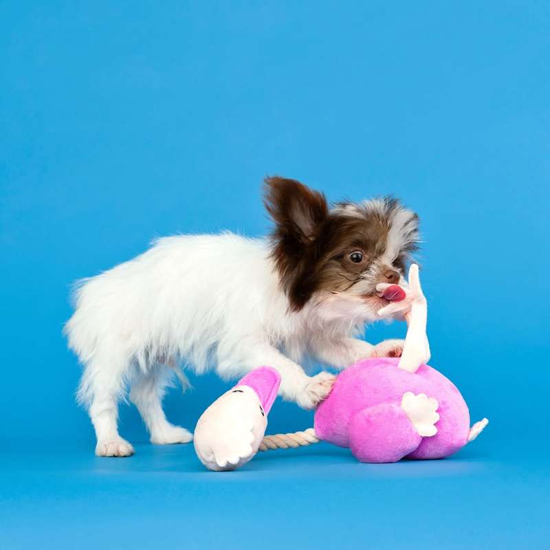 Ostrich Plush Dog Toy | Zugo | Whimsical & Durable Soft Toy for Dogs of All Sizes