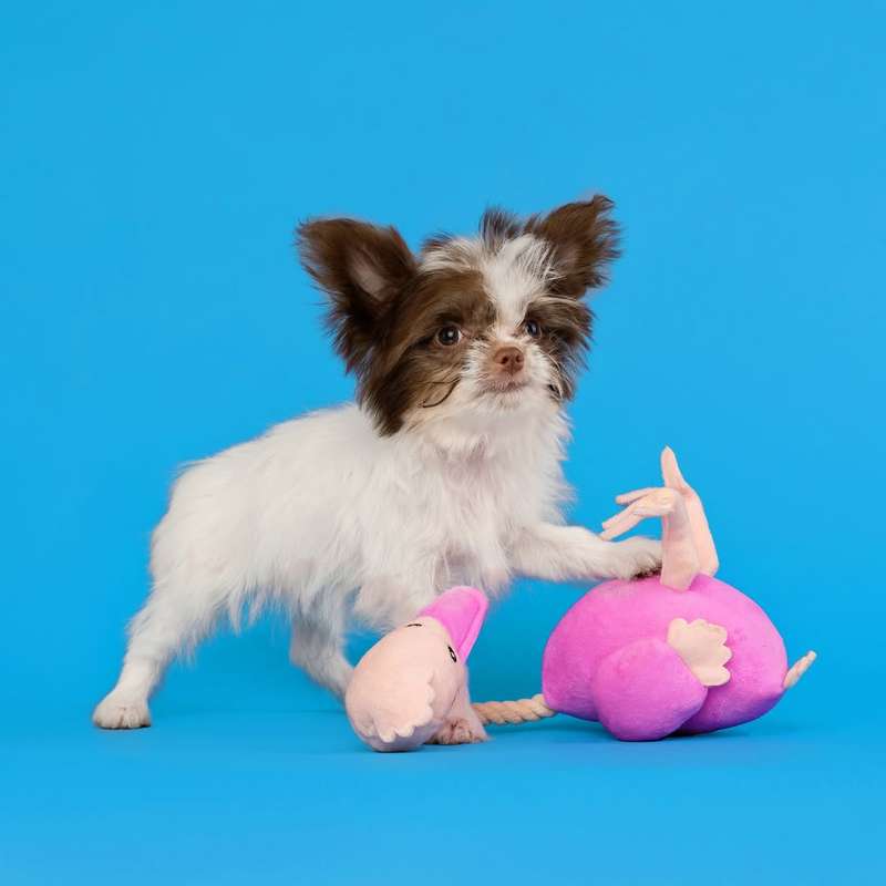 Ostrich Plush Dog Toy | Zugo | Whimsical & Durable Soft Toy for Dogs of All Sizes