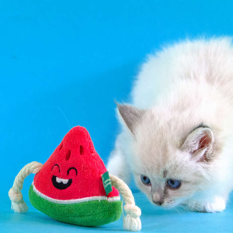 Watermelon Plush Catnip & Sound Toy  Cat Toy | Zugo | Soft, Squeaky Plush Cat Toy with Catnip