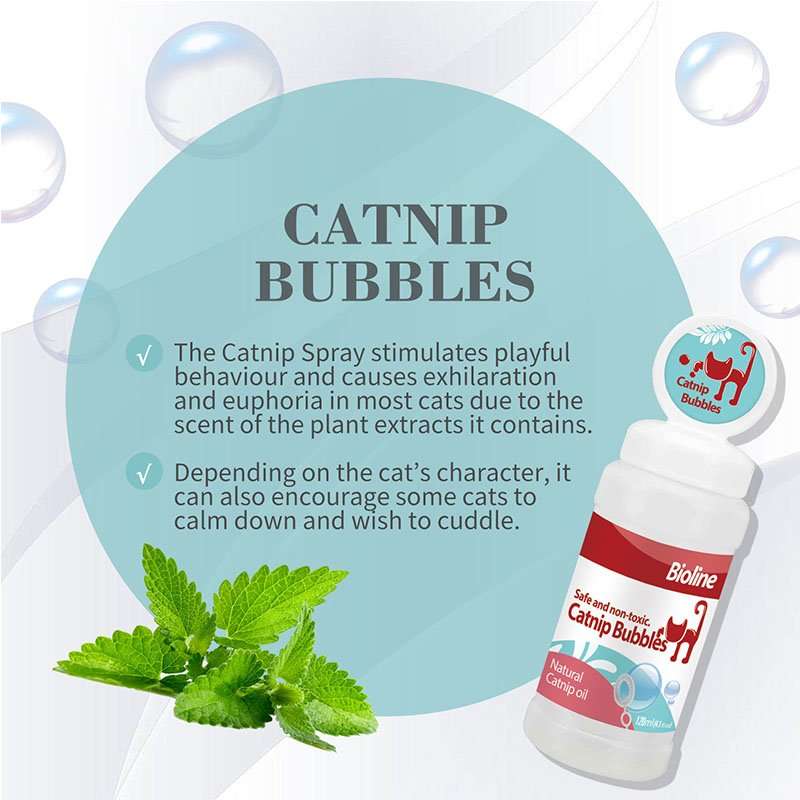 Bioline Catnip Bubbles  17G | Bioline | Interactive Play with Irresistible Catnip Scent | Fun ...