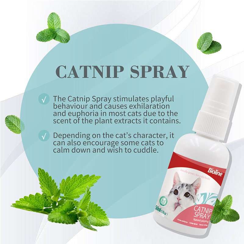 Bioline Natural Catnip Spray  15ML | Bioline | Promotes Healthy Play & Exercise | Easy-Use Fel...