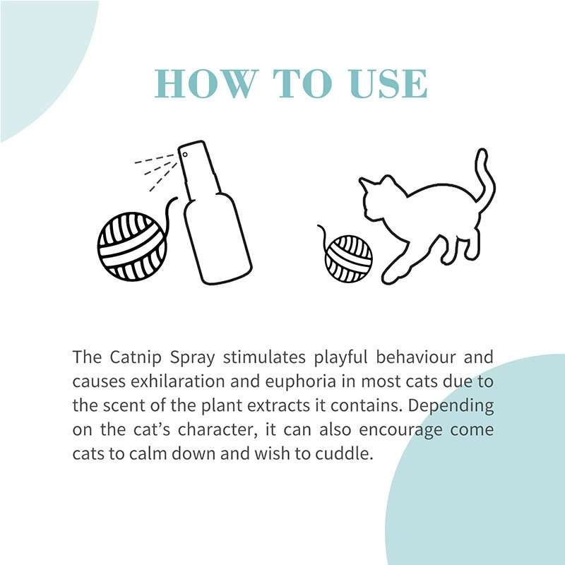 Bioline Natural Catnip Spray  15ML | Bioline | Promotes Healthy Play & Exercise | Easy-Use Fel...