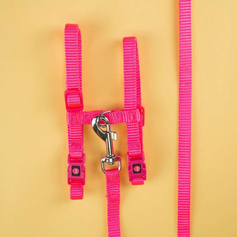 Doco Signature H Dog Harness  S  Pink | Doco | Small Adjustable Pink Dog Harness