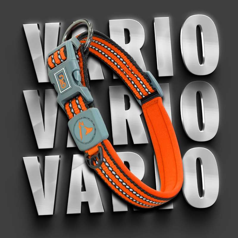 Doco Vario Dog Collar - XL - Orange | Doco | Bright Orange Collar for Extra-Large Dogs
