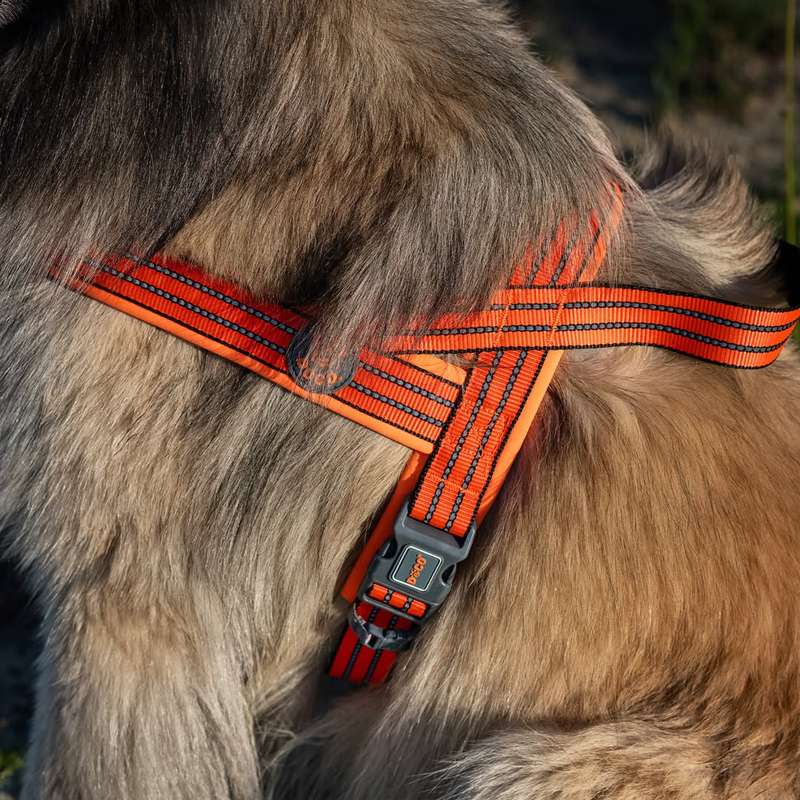 Doco Vario Dog Harness  L  Orange | Doco | Large Adjustable Orange Dog Harness