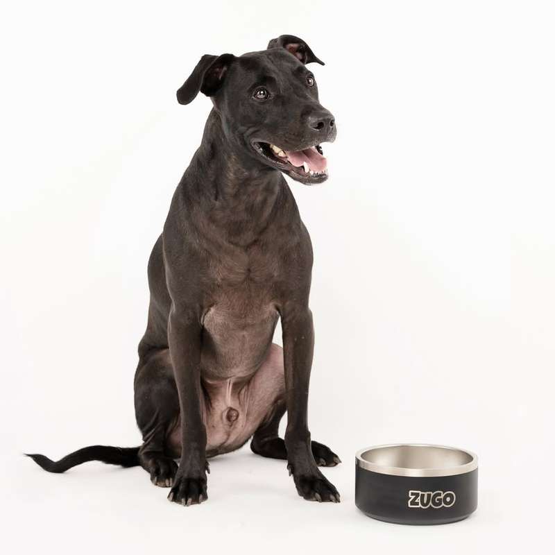 ZuBowl Stainless Steel Dog Bowl  64oz / 1.9L | Zugo | Large Durable Pet Bowl, Non-Slip & Easy ...