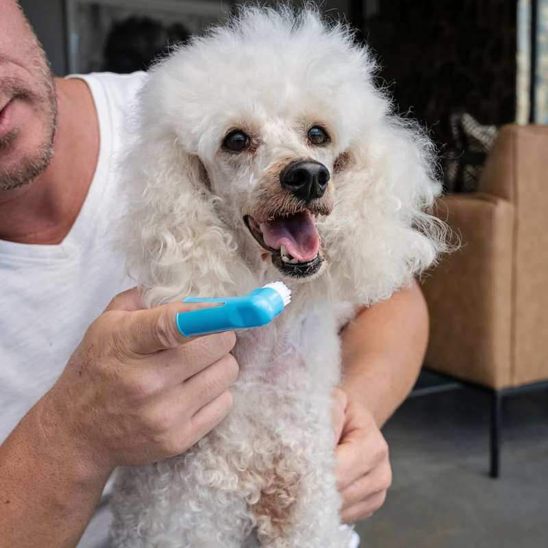 Dog Tooth Brush  Finger | Zugo | Gentle, Precise Dental Cleaning for Dogs