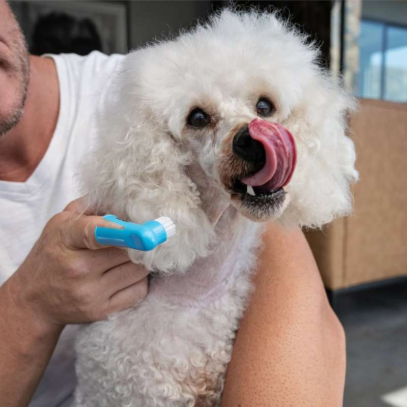 Dog Tooth Brush  Finger | Zugo | Gentle, Precise Dental Cleaning for Dogs