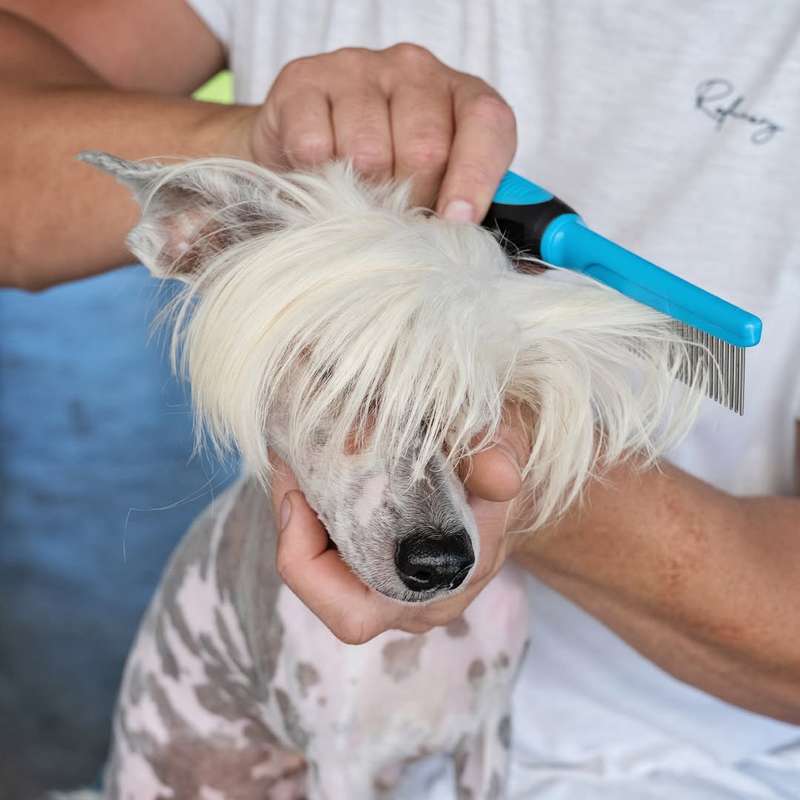 29 Pin Dog Grooming Comb | Gentle Detangling for Medium & Long Fur