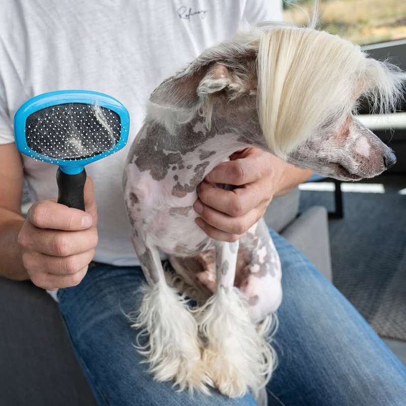 Slick Dog Brush  Small | Fine Bristle Grooming Tool for Small Dogs
