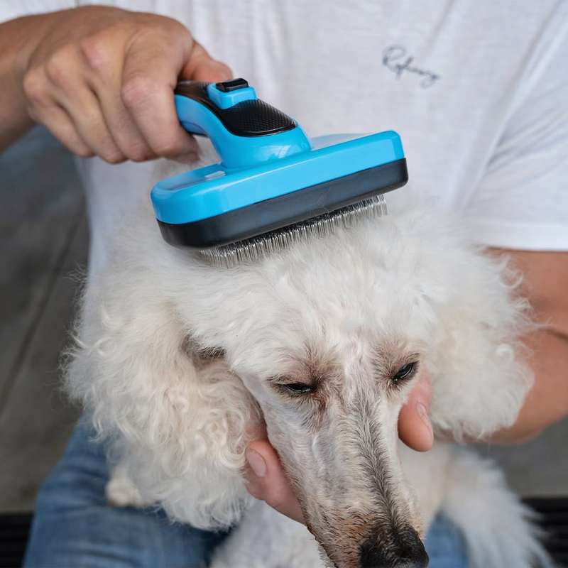 Slick Dog Brush Self Cleaning  Large | Easy Clean Grooming Tool for Large Dogs