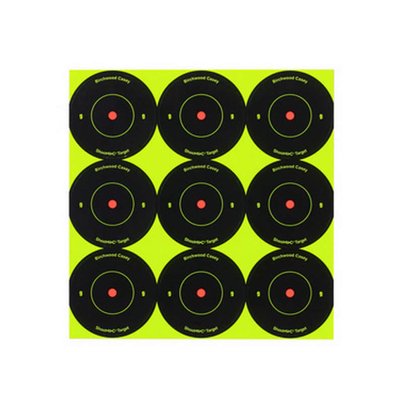 Birchwood Casey Target Shoot-N-C Round 2