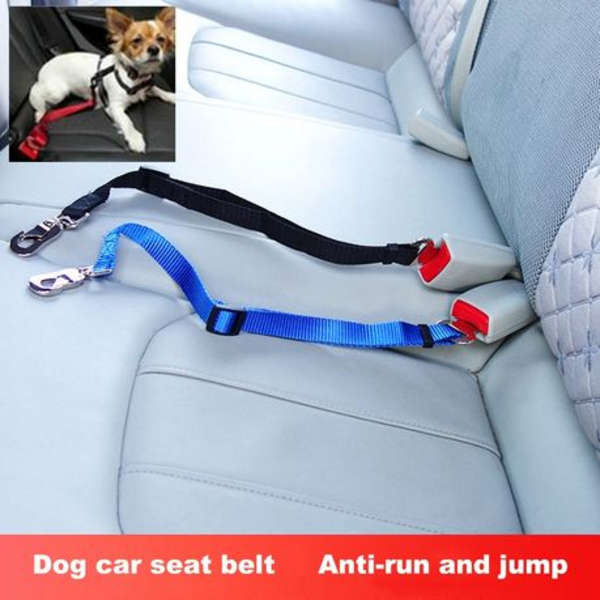 Doggy Car Seatbelt Leash - 2 Pack