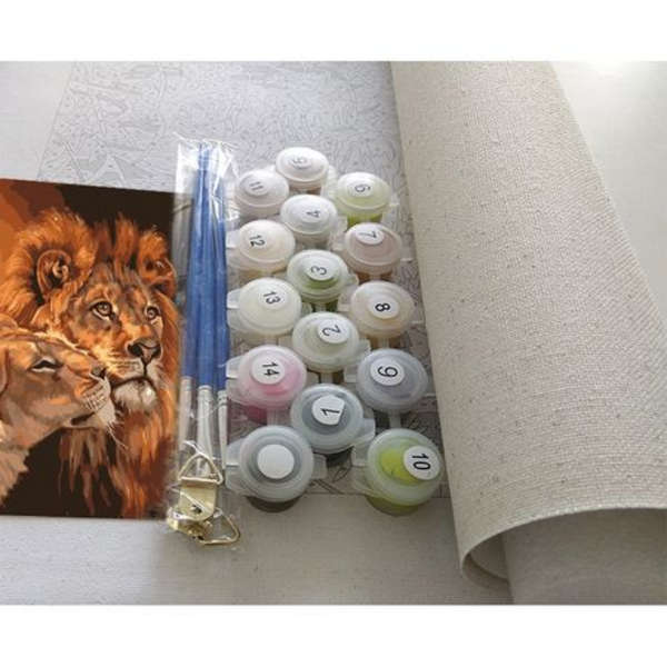 Paint By Numbers for Adults (40cmx50cm)