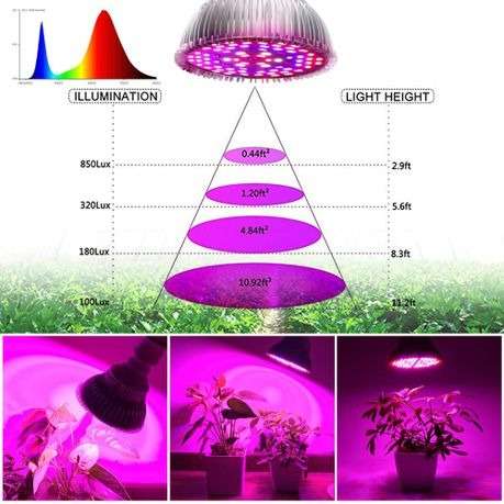 Full Spectrum 50W Led Grow Light Bulb for Indoor Plants