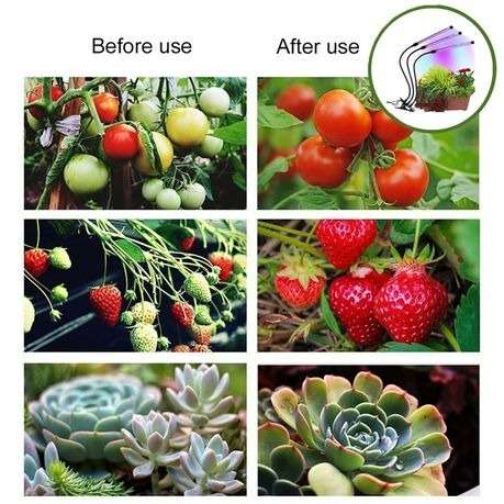 Cre8tive 30W LED Plant Growth Light With Adjustable Spectrums and Timing