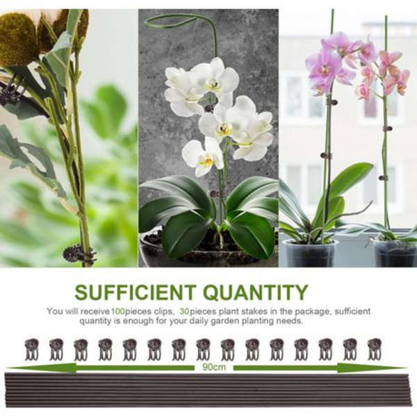 30 Plastic Coated Orchid Stakes(90cm) &amp; 100 Clips