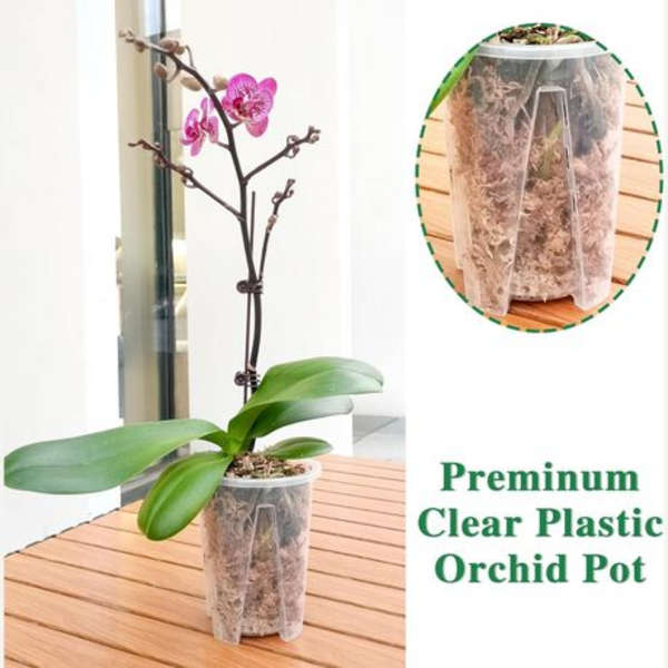 Clear Plastic Orchid/Aroid Pots Set of 4 (Choose Your Size)