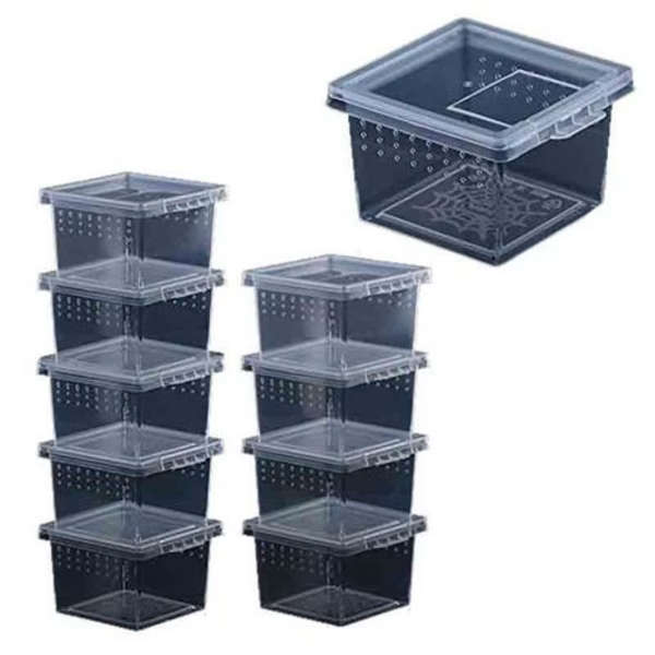Tarantula Tub 10 Pack
