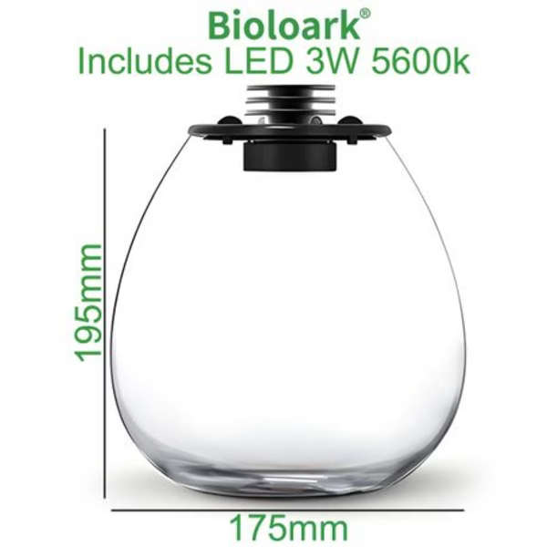 Bioloark Bio PD-170 Bottle Terrarium with USB Powered LED Light