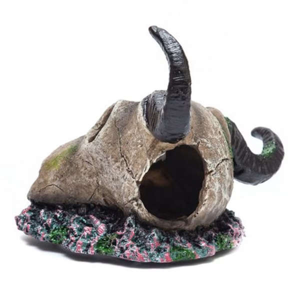 Buck Skull for Terrarium