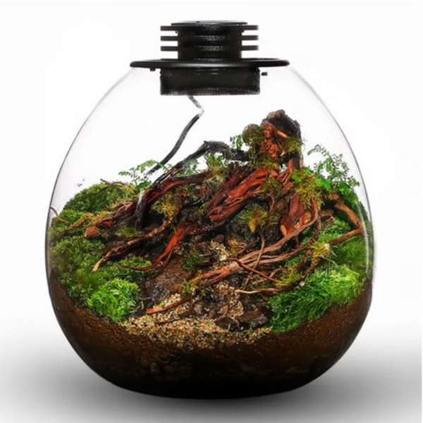 Bioloark Bio PD-170 Bottle Terrarium with USB Powered LED Light