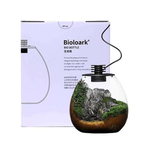 Bioloark Bio PD-170 Bottle Terrarium with USB Powered LED Light