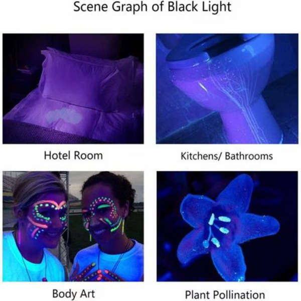 UV Flashlight Pet Urine Detector Black Light