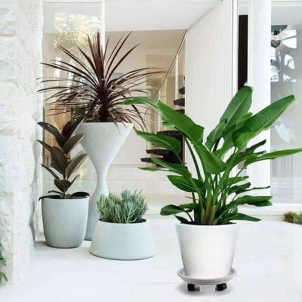 3 Piece Plant Caddy With Wheels And Drainage Tray