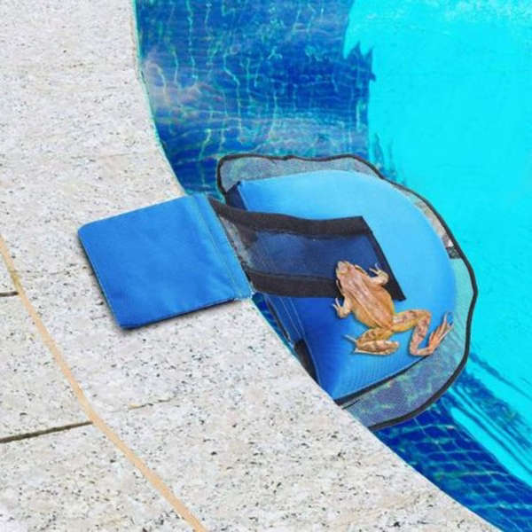 Floating Pool Escape Ramp for Small Animals - Frog &amp; Wildlife Safety Ramp