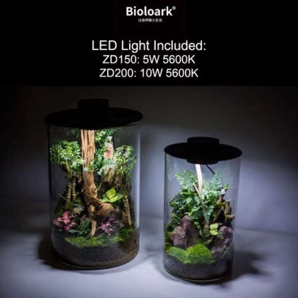 Bioloark Bio ZD-150 Bottle Terrarium with USB Powered LED Light