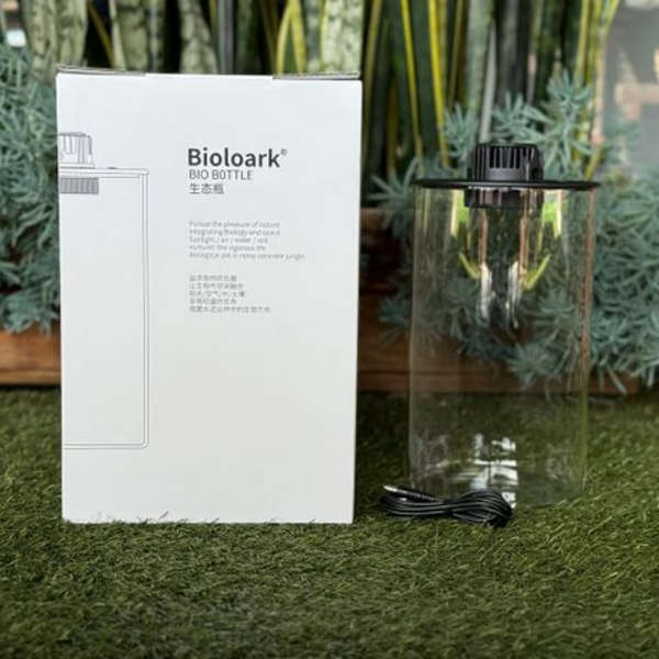 Bioloark Bio ZD-150 Bottle Terrarium with USB Powered LED Light