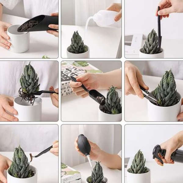 15pc Succulent Garden Tool Set
