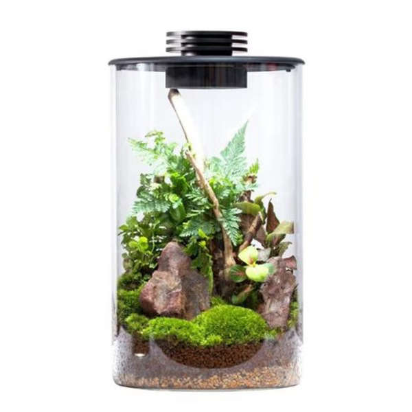 Bioloark Bio ZD-150 Bottle Terrarium with USB Powered LED Light