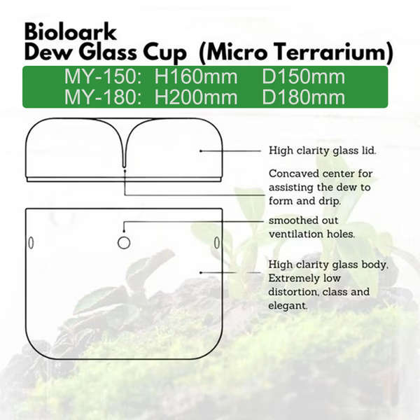 Bioloark Dew Glass Cup MY-180H